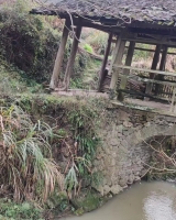 福建建瓯市失联聋哑吴柳珠2405190633图片